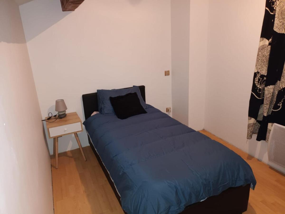 Au Pied Des Montagnes. Appartement Saint-Jean-de-Maurienne Buitenkant foto